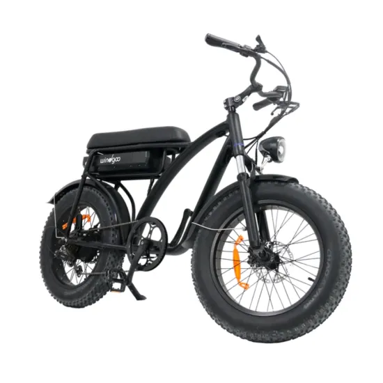 Windgoo F5 | Zwart | Elektrische Fatbike | 250W