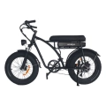 Windgoo F5 | Zwart | Elektrische Fatbike | 250W