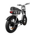 EB2 | Elektrische Fatbike | Zilver | 250W