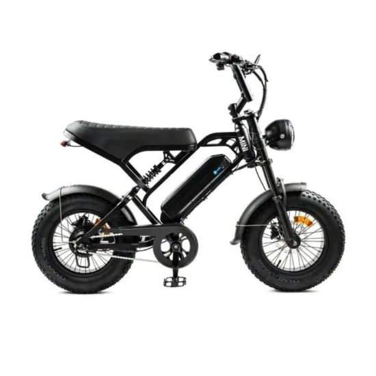 V20 Pro Mini Fatbike | Zwart | 250 Watt High Speed Motor
