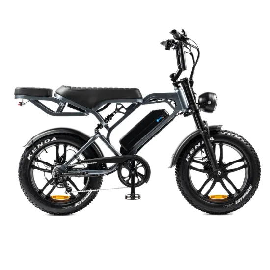 V20 Pro Fatbike | 250W | Donkergrijs | Elektrische Fatbike
