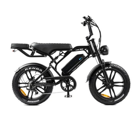 V20 Pro | Elektrische Fatbike | Zwart | 250W