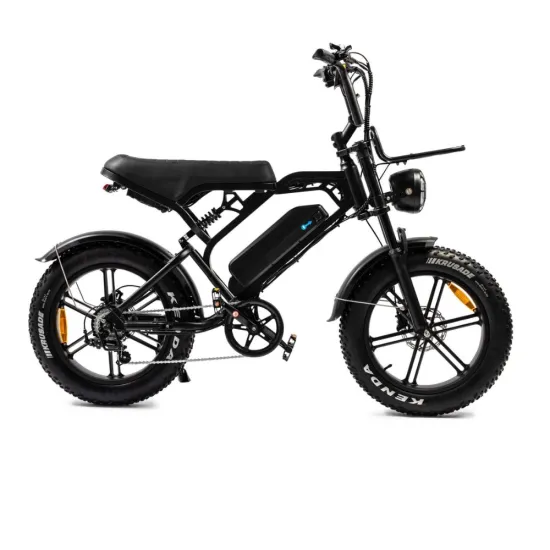 V20 Pro 2025 | Elektrische Fatbike | 250W | Zwart