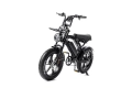 V20 Pro 2025 | Elektrische Fatbike | 250W | Zwart