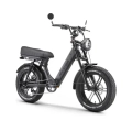 Ape Ryder MD10 PRO – Zwart – Elektrische Fatbike – 250w