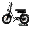 EB2 Pro Fatbike | Zwart | Torque Sensor | 250W