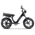 Ape Ryder MD10 PRO – Zwart – Elektrische Fatbike – 250w
