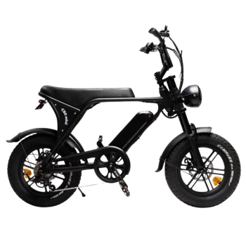 C80 Mini Fatbike | Zwart | 16 inch