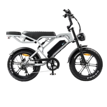 Product V20 Pro Fatbike | 250W | Lichtgrijs | Elektrische fatbike Afbeelding