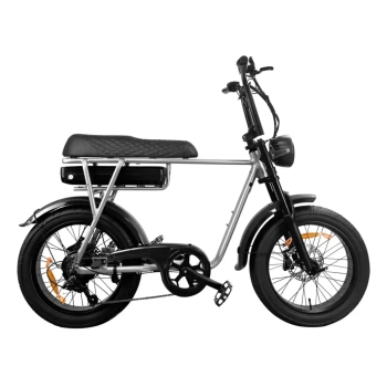 Product EB2 | Elektrische Fatbike | Zilver | 250W Afbeelding